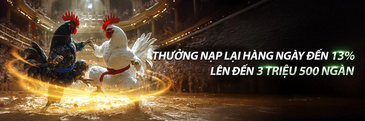 Trải nghiệm đá gà trực tuyến đỉnh cao cùng 90ok tải app