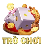Kiểm toán thường xuyên 90ok